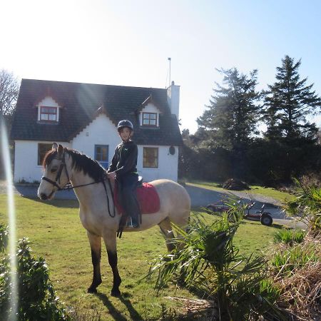 Letterfrack Farmhouse On Equestrian Farm In Letterfrack Beside Connemara National Park Tullywee Bridge Luaran gambar