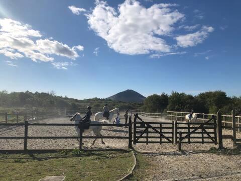 Letterfrack Farmhouse On Equestrian Farm In Letterfrack Beside Connemara National Park Tullywee Bridge Luaran gambar