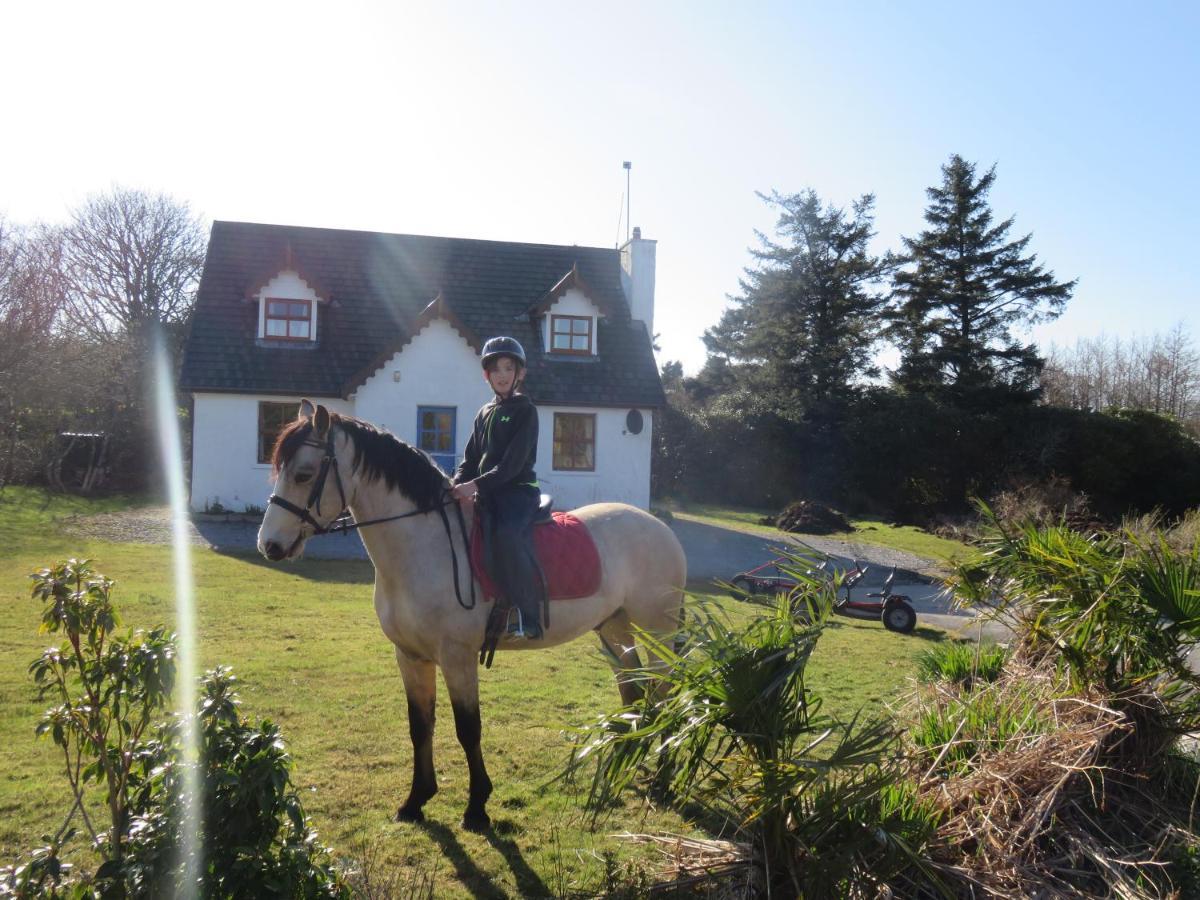 Letterfrack Farmhouse On Equestrian Farm In Letterfrack Beside Connemara National Park Tullywee Bridge Luaran gambar