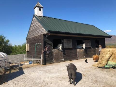 Letterfrack Farmhouse On Equestrian Farm In Letterfrack Beside Connemara National Park Tullywee Bridge Luaran gambar