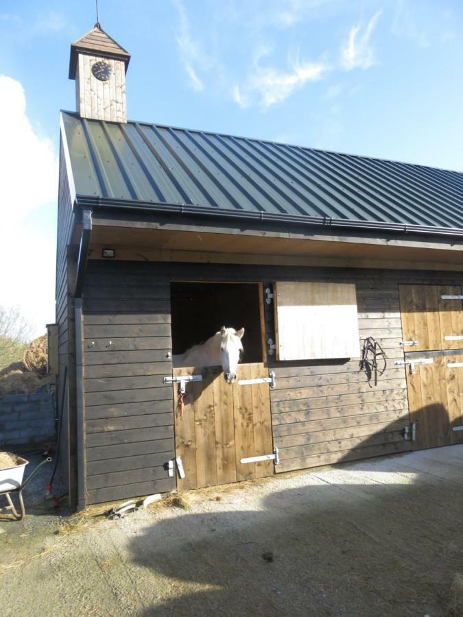 Letterfrack Farmhouse On Equestrian Farm In Letterfrack Beside Connemara National Park Tullywee Bridge Luaran gambar