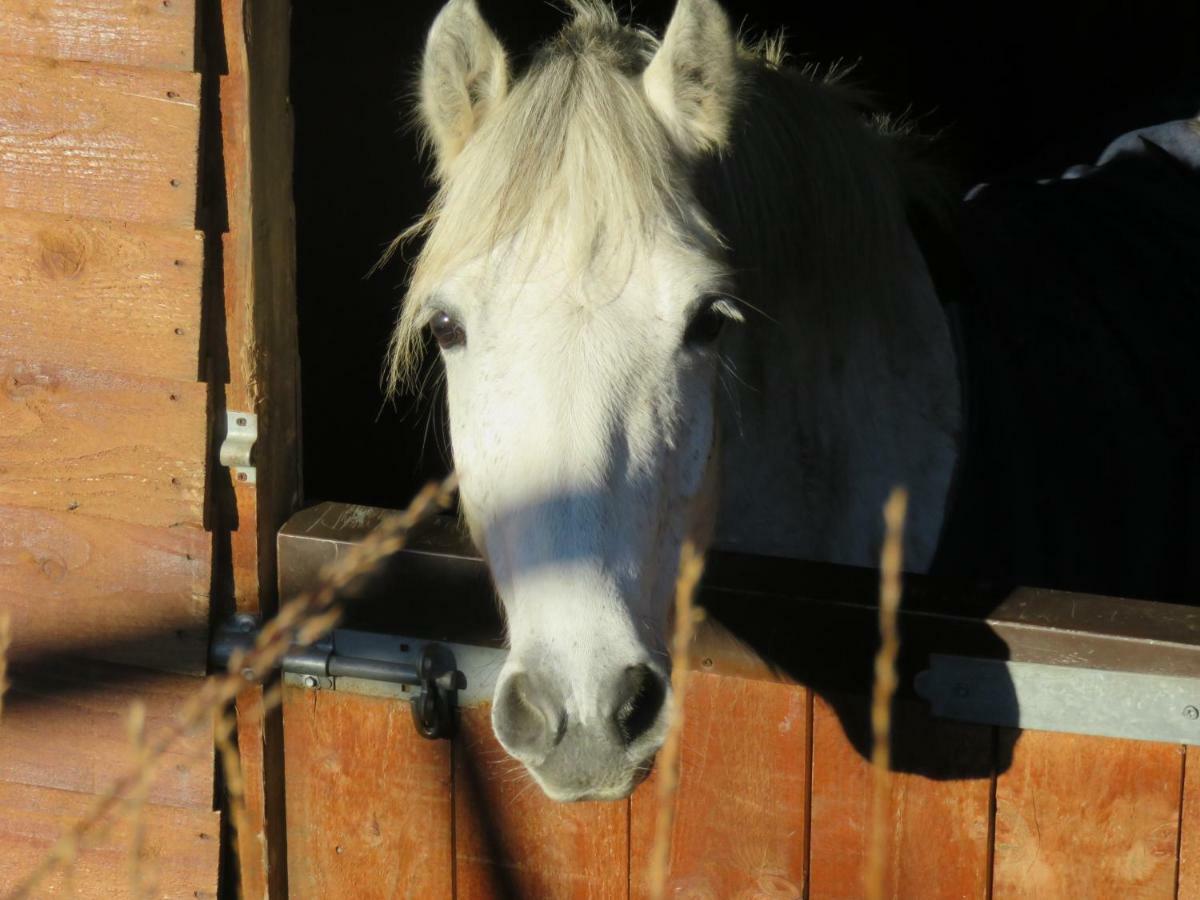 Letterfrack Farmhouse On Equestrian Farm In Letterfrack Beside Connemara National Park Tullywee Bridge Luaran gambar